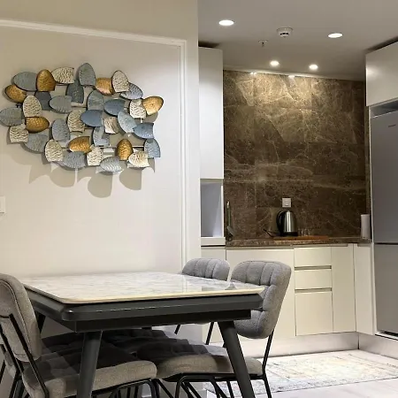 New Luxury Comfortable