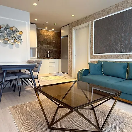 New Luxury Comfortable